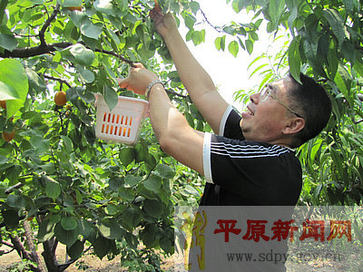 �л���ժ����������