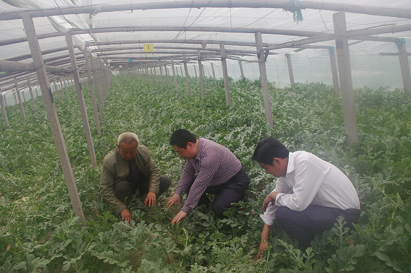 ����������̽����԰�����¡����ݡ�