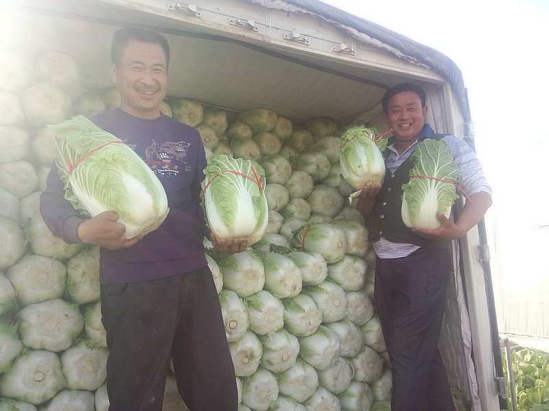  ��վ�򣺴���ײ�ϲ�����