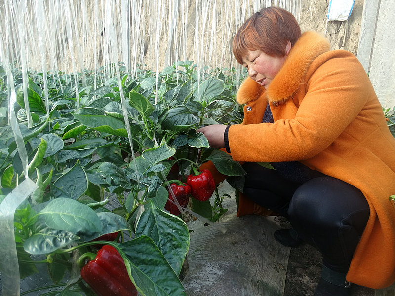 ��ʽ�ӳ��ũ���¸�·