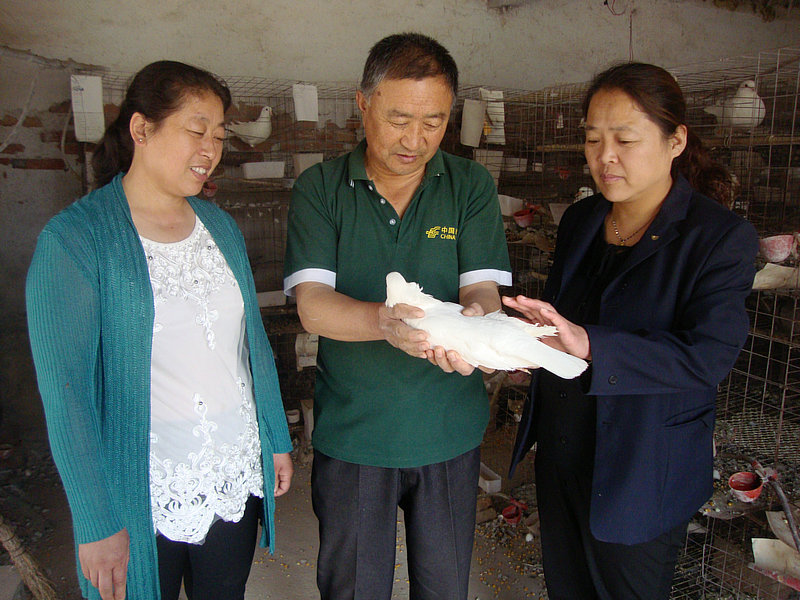 С���ӷ�����Ƹ�