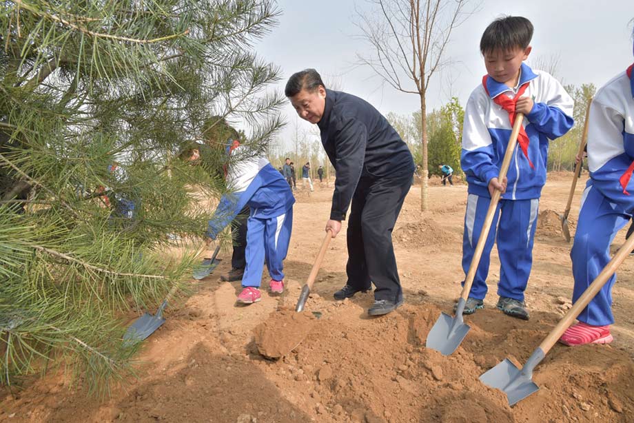 ���͹����쵼�˲μ��׶�����ֲ���