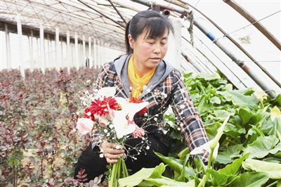 ���ľ꣺�Ӱ���Ů���ֻ���Ů״Ԫ��