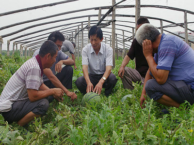 �˺������С��١����˴���ġ��󵱼ҡ�