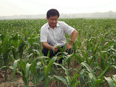 ����ΰ��������Ⱥ�ڵ���������