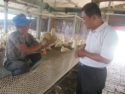 ֣�Ŵ���һ��Ϊ��Ⱥ�ڵĺ����